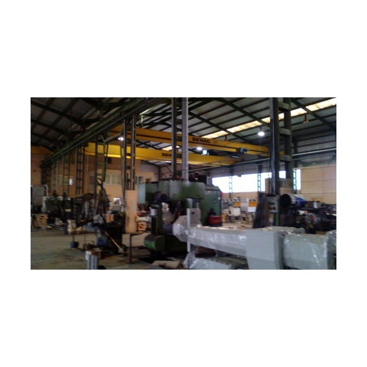 Demag. Grúa-polipasto