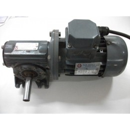 Motor reductor con freno eléctrico Puyol Muntalá