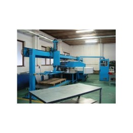 FINN POWER TP 250 CNC