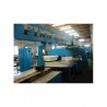 FINN POWER TP 250 CNC