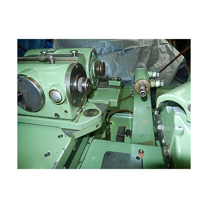 ALB. TRIPET. SA. MUR 100