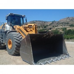 LIEBHERR L586 2PLUS2 - Погрузочные лопаты