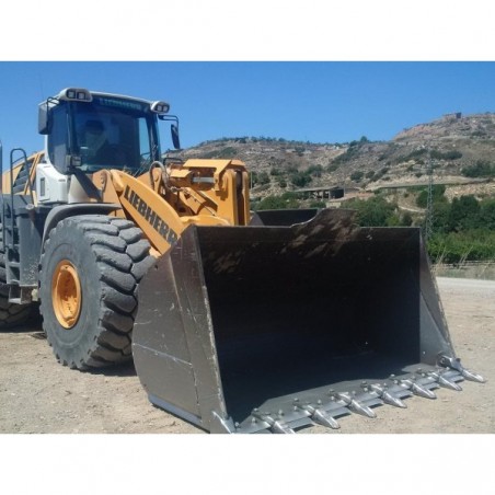 LIEBHERR L586 2PLUS2