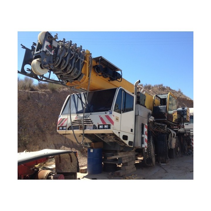 Terex demag ac80-2