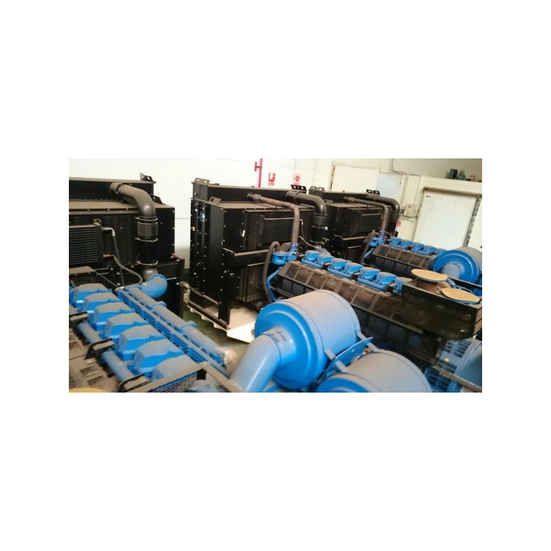 FG WILSON P1000P1
