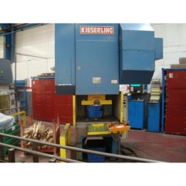 KIESERLING, PEDRU 100