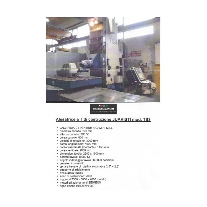 ALESATRICE JUARISTI TS3
