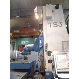 ALESATRICE JUARISTI TS3