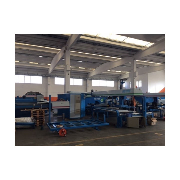 Punzonatrice Finn Power 2 