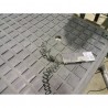 MULTICAM MT 1M