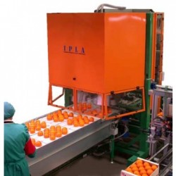 IPLA AUTOMATIC BOXING MACHINE - Automatic lines
