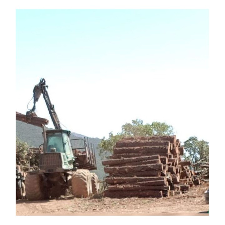 TIMBERJACK 1710